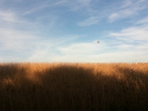 Some rural scenery (complete with a hot air balloon) between the house and the fair